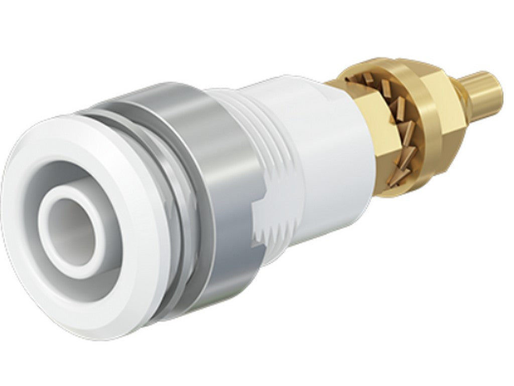 Socket SLB4-G gold-plated white CAT III 1000V 32A