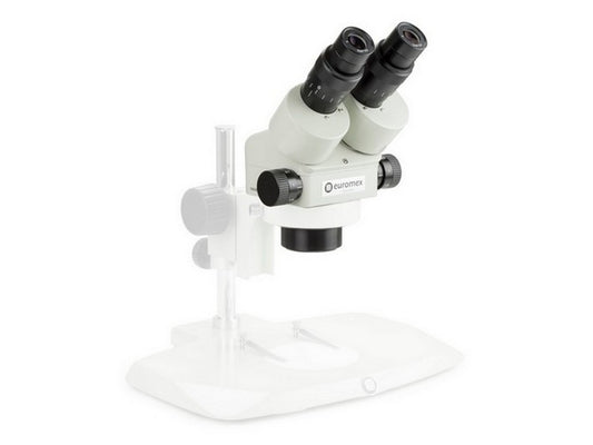 Stereo head binocular zoom