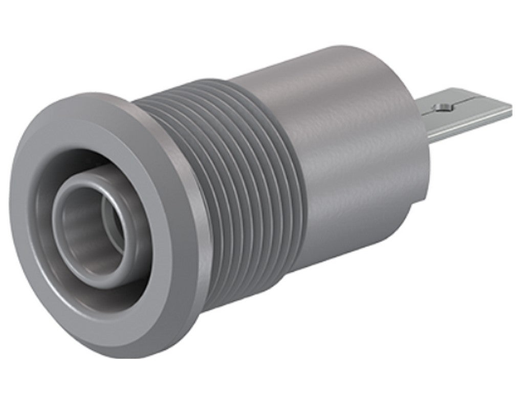 Socket BI-SLB4-F/A 4 mm, gray