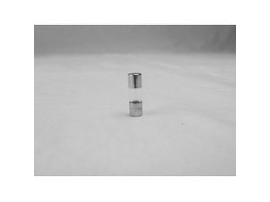 Fuse 125mA 250V