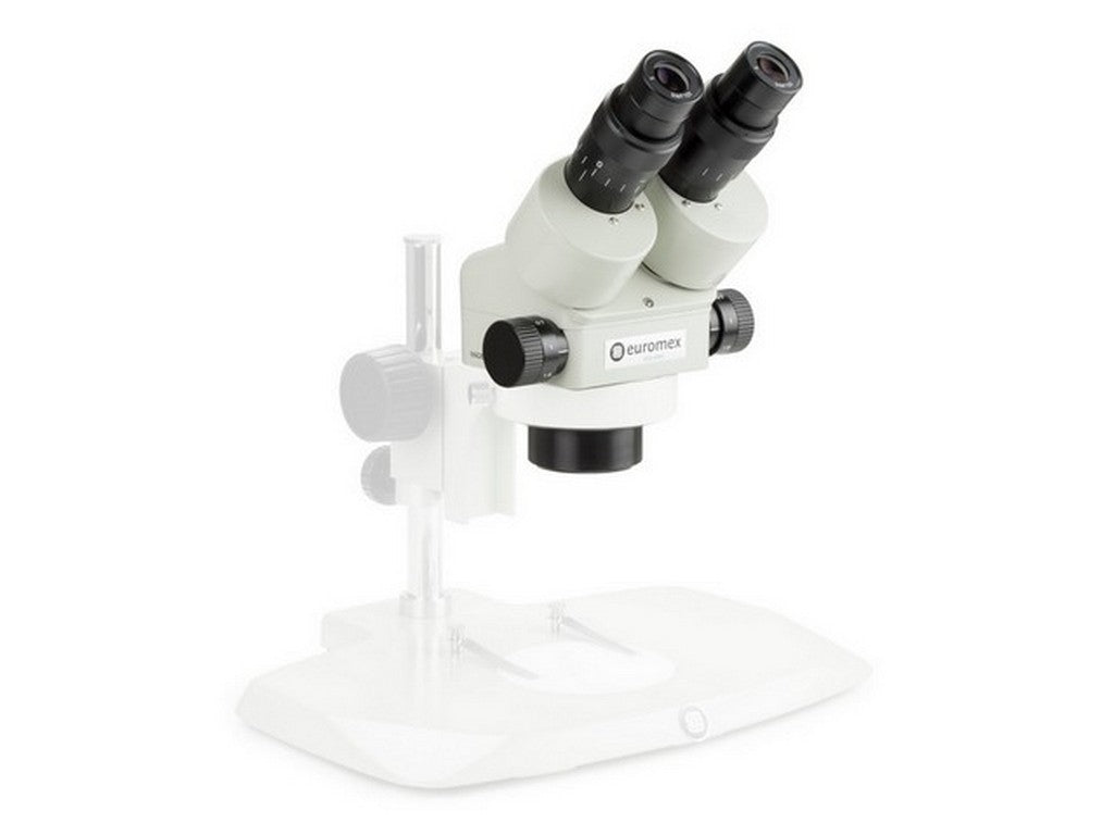 Stereo head binocular zoom